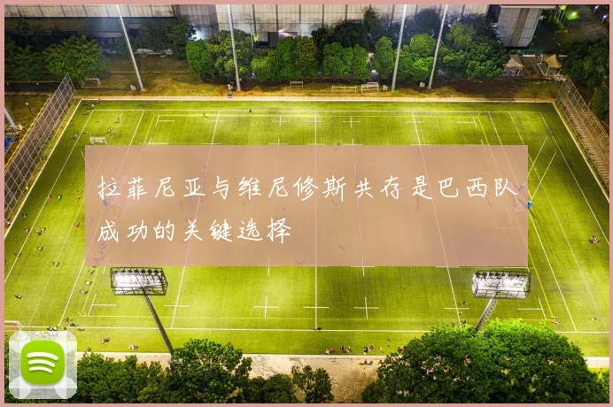 拉菲尼亚与维尼修斯共存是巴西队成功的关键选择
