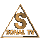 sonal-logo-goud